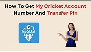 How To Get My Cricket Account Number And Transfer Pin