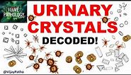 Practical Pathology: Examination of urine sediment- URINARY CRYSTALS