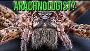 What Is An Arachnologist & How Do I Become One?