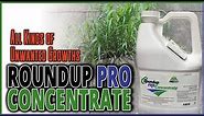 RoundUp Pro Concentrate Review - Killing Growths and Possibly Causing Them