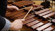 What does a xylophone sound like? (Scale)