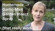 Homemade Garlic-Mint Garden Insect Spray {that really works!!} - AnOregonCottage.com