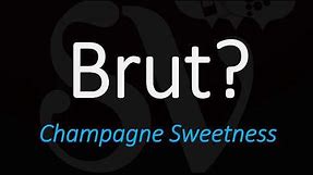 What is a Brut Sparkling Wine? Champagne, Cava, Prosecco - Wine Term Definition