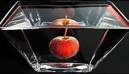 What if you left an apple in water for 200 days?
