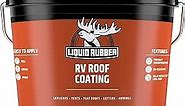 Liquid Rubber RV Roof Coating - Solar Reflective Sealant, Trailer and Camper Roof Repair, Waterproof, Easy to Apply, Brilliant White,1 Gallon