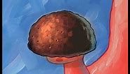 Patrick's pet rock