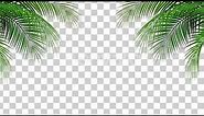 Palm Leaves Moving Background - Alpha channel video