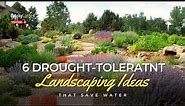 6 Drought-Tolerant Landscaping Ideas That Save Water 🌾🍃🌷 // Gardening Tips