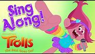 Poppy's Favorite Songs! 🎵🎶 [MUSIC SING ALONG MASHUP] | Trolls: The Beat Goes On!