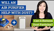 Will an Air Purifier Help with Dust? (Can Air Purifiers Remove Dust?)
