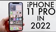 iPhone 11 Pro In 2022! (Still Worth It?) (Review)
