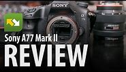 Sony A77 II : Review