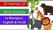 Manipuri Names Of 35 Wild Animals | Hindi & English | EP#21