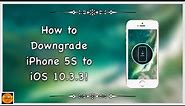 How to Downgrade iPhone 5S from iOS 12.5.7 to iOS 10.3.3!