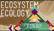 Ecosystem Ecology: Links in the Chain - Crash Course Ecology #7