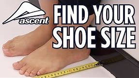 Find Your Shoe Size