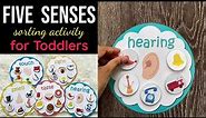 Five Senses Sorting Activity, Busy Bags Activity, Toddlers and Preschoolers