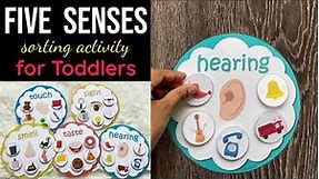 Five Senses Sorting Activity, Busy Bags Activity, Toddlers and Preschoolers
