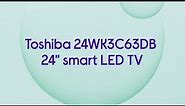Toshiba 24WK3C63DB 24" Smart HD Ready HDR LED TV with Amazon Alexa - Product Overview
