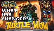 SHAMAN on TURTLE WoW: What Has Changed?