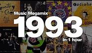 1993 in 1 Hour - Top hits including: Counting Crows, Duran Duran, U2, The Cranberries and many more!
