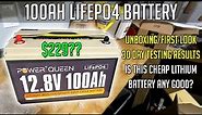Power Queen 12V 100Ah LiFePO4 Lithium Battery | Boat RV Off Grid Review