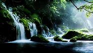 Nature, Landscape, Waterfall. Free Stock Video