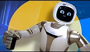 Meet Walker: the robot butler that wants to be your best friend