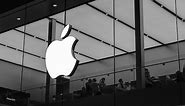 Apple Branding: The History Of the Most Iconic Brand In The World