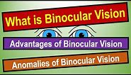 BINOCULAR VISION: Binocular Vision: tests, grades, and treatment. #binocularvision