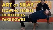 Silat Strikes and Finishes - Silat Suffian Bela Diri