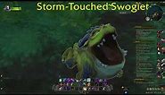 Storm-Touched Swoglet Pet Location WoW