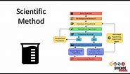 The Scientific Method: Steps and Examples