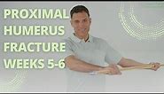 Proximal Humerus Fracture Weeks 5-6 | Active Light Shoulder Strengthening & Mobilization | Phase IV
