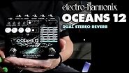 Electro-Harmonix Oceans 12 Dual-Stereo Reverb Pedal (Demo by Bill Ruppert)