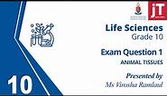 10. Gr 10 Life Sciences - Animal Tissue - Exam Question 1