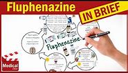 Fluphenazine (Prolixin): What is Fluphenazine Decanoate? Uses, Dosage, Side Effects & Precautions
