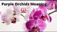 Purple Orchids Meaning - orchids and their color meaning - orchids color meaning and symbolism🌶️🦀🥵