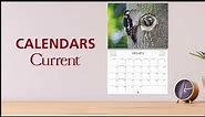 Current Wall Calendars