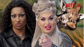 Drag Queens Become Zookeepers! - feat. Tayce and Cheryl Hole