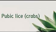 Pubic lice crabs | Symptoms | Causes | Treatment | Diagnosis aptyou.in