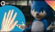 "Sonic Hedgehog Gene" - Why You Have Thumbs And Not Fins