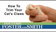 How to Trim Your Cat's Claws (DrsFosterSmith)
