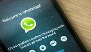 Latest WhatsApp Android beta gets adaptive icons support