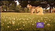BBC Two ident 2001 to 2007 - Fluffy Dog C