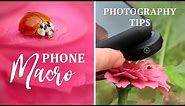 Tips for Great Mobile Phone MACRO Photography | Moment Lens & Olloclip Lenses