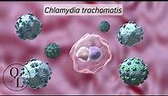 Chlamydia trachomatis (Tracoma, Infección de Transmisión Sexual)