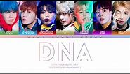 BTS DNA Color Coded Lyrics/가사 (Han/Rom/Pol)