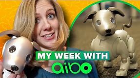 Sony Aibo: what it's like to live with a robot dog