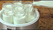 How to Use the Euro-Cuisine Automatic Yogurt Maker | Williams-Sonoma